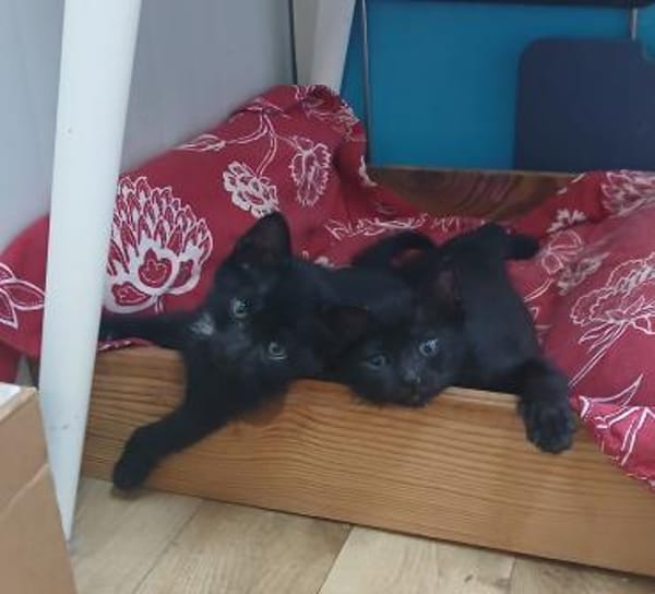 Kleine Olivia möchte die Welt entdecken!