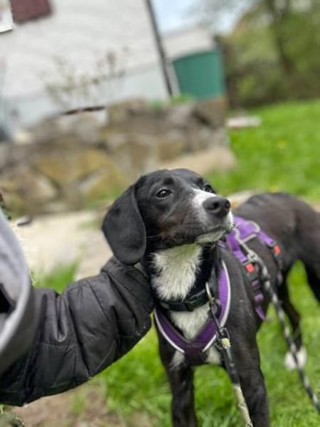 Dua wartet auf ihre eigene Familie