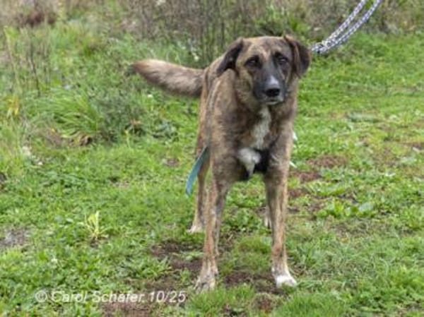 Luke ist ein sehr lieber Kerl