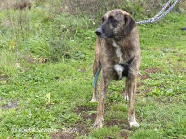 Luke ist ein sehr lieber Kerl