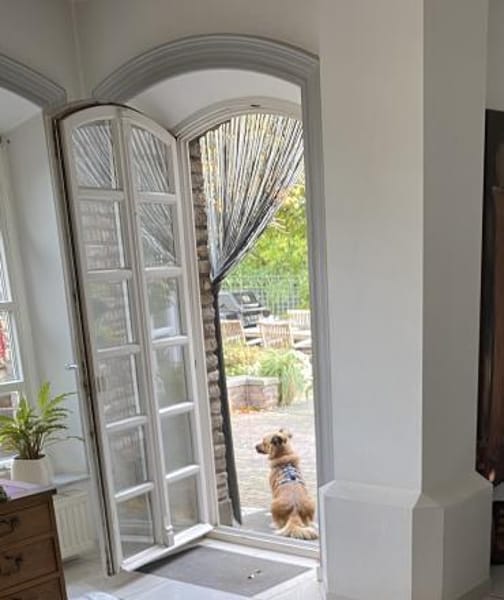 Kleine Susi sucht liebevolles Zuhause❤