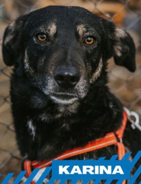 Karina - neugieriges, herziges Madl