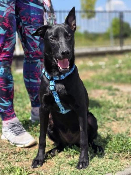 Sunny ❤ Pflegefamilie Erkelenz