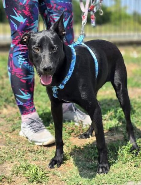 Sunny ❤ Pflegefamilie Erkelenz