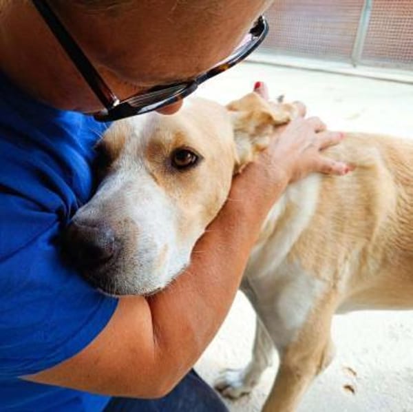 Birillo im Tierheim Sulzbach