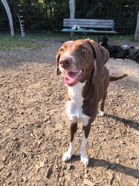 SIMARA IST BEREIT DURCHZUSTARTEN