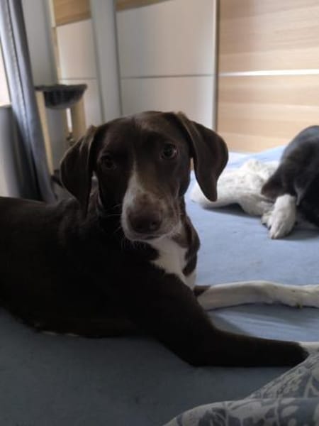 SIMARA IST BEREIT DURCHZUSTARTEN