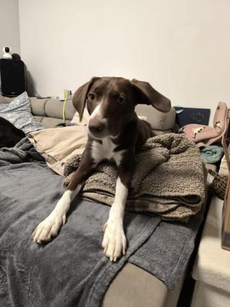 SIMARA IST BEREIT DURCHZUSTARTEN