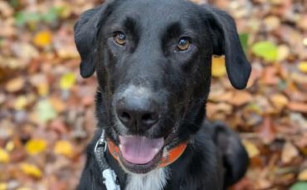 Laba möchte mit dir die Welt entdecken