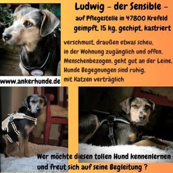 Ludwigsucht eine liebe Familie❤