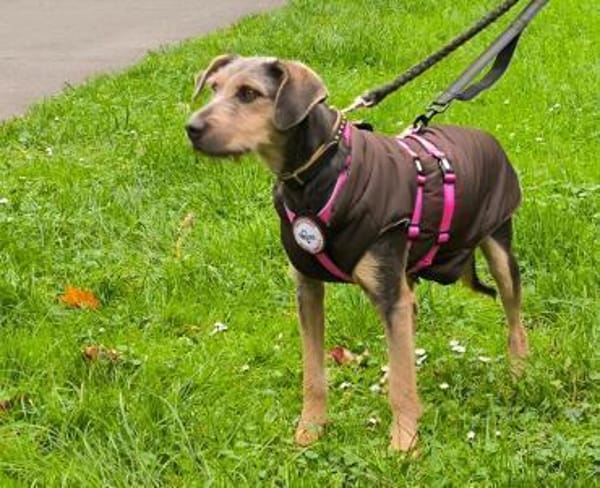 Ludwigsucht eine liebe Familie❤