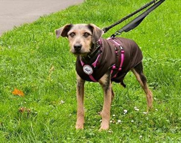 Ludwigsucht eine liebe Familie❤