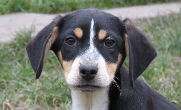 QUEENIE (Réservée)