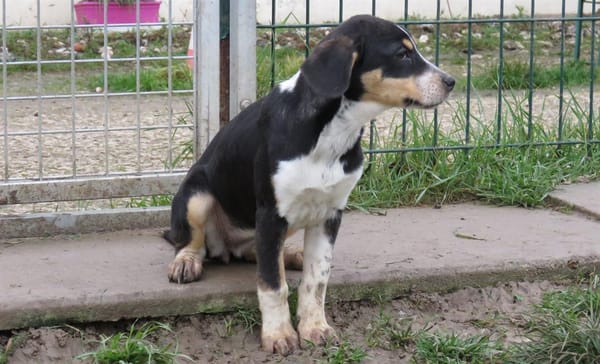 QUEENIE (Réservée)