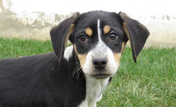 QUEENIE (Réservée)