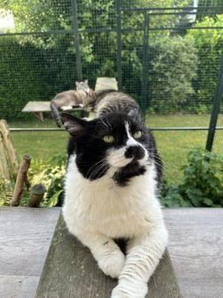 Knut - Fiverling sucht sein Happy End