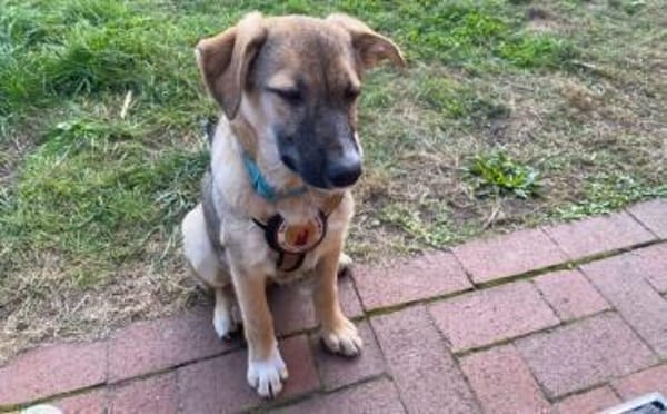 Melde dich für Conny!