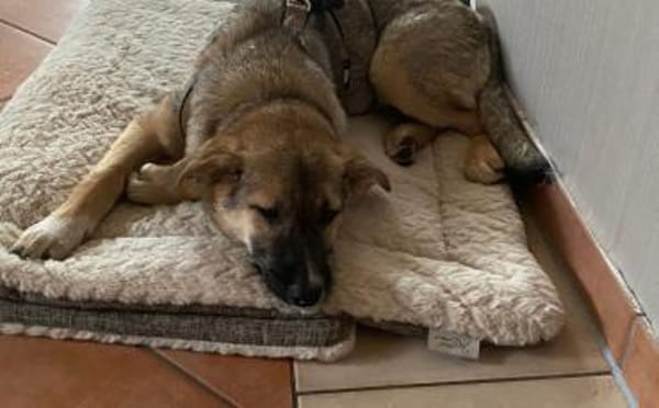 Melde dich für Conny!