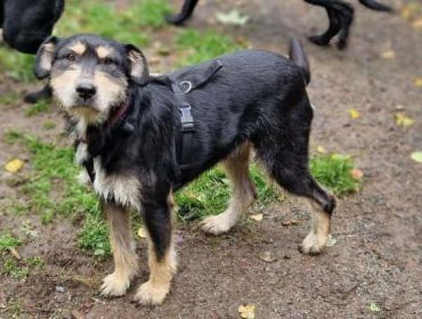 MIRUNA möchte kuscheln