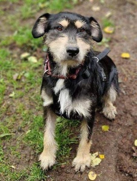 MIRUNA möchte kuscheln