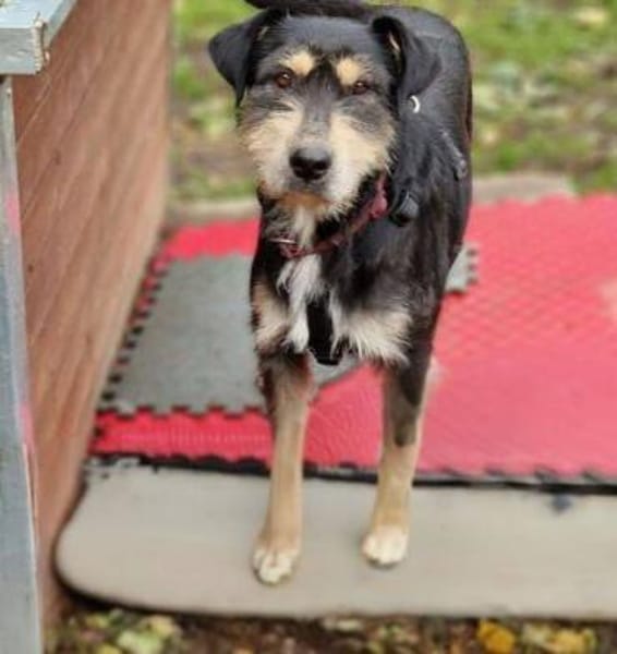 MIRUNA möchte kuscheln