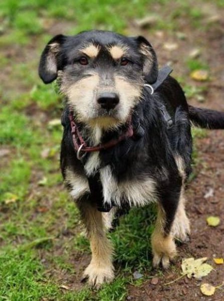 MIRUNA möchte kuscheln