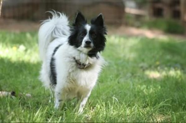 Putziger Skittle, bist Du seine Familie?