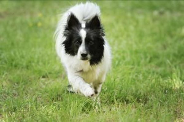 Putziger Skittle, bist Du seine Familie?