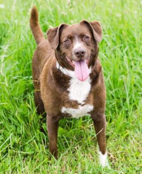 Loco Quintana sucht Familienanschluß