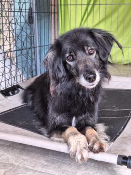 Alice sucht ihr Wunderland