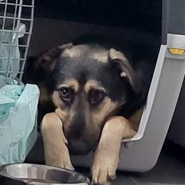 Marton  möchte endlich ankommen