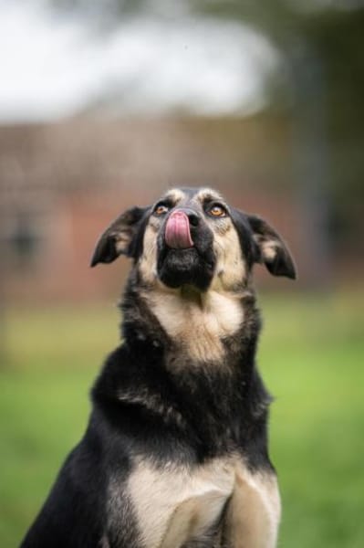 Marton  möchte endlich ankommen