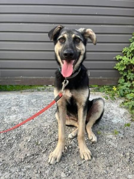 Marton  möchte endlich ankommen