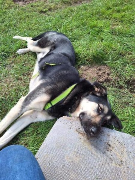 Marton  möchte endlich ankommen