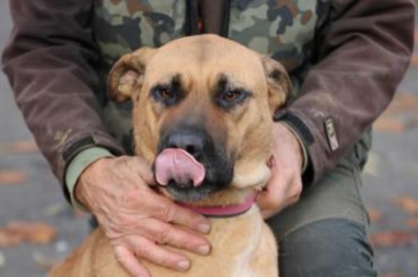 Leela - kinderlieb u. verspielt