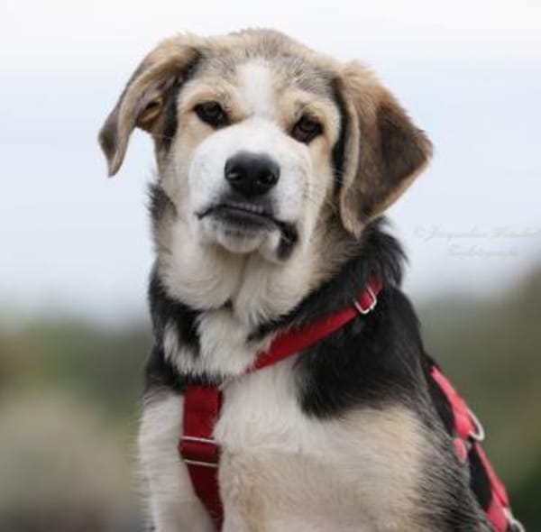 PLUMA - unser Sonnenschein 🌞