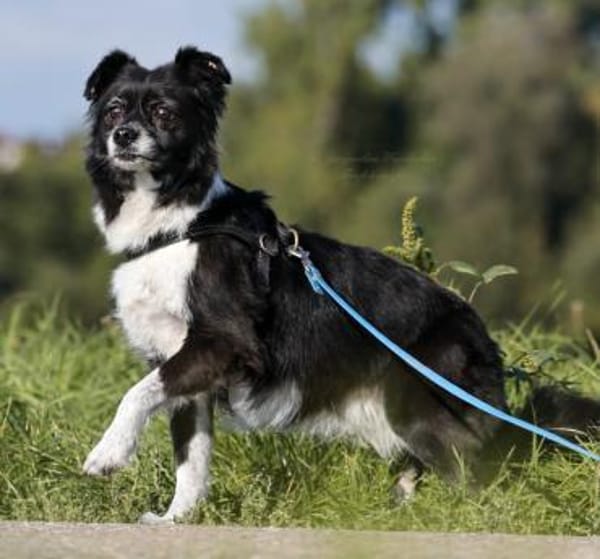 AMY - top fitte & tolle Best Agerin 💝