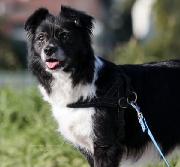 AMY - top fitte & tolle Best Agerin 💝