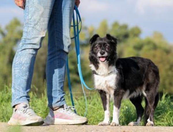 AMY - top fitte & tolle Best Agerin 💝