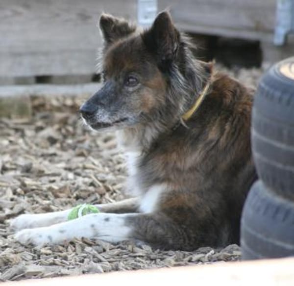 STELLA - sportliche Rentnerin 💝