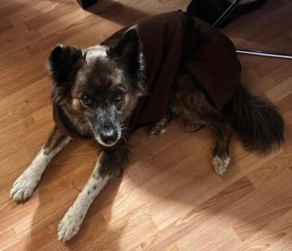 STELLA - sportliche Rentnerin 💝