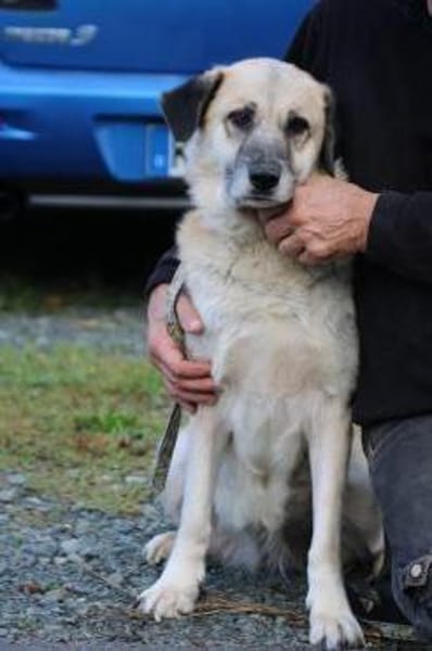 Mana - sehr verschmust u. lieb