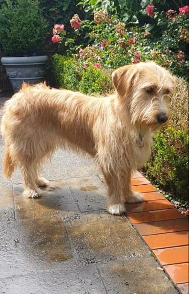 Kira wartet auf dein Besuch!