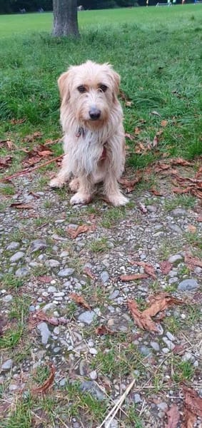 Kira wartet auf dein Besuch!