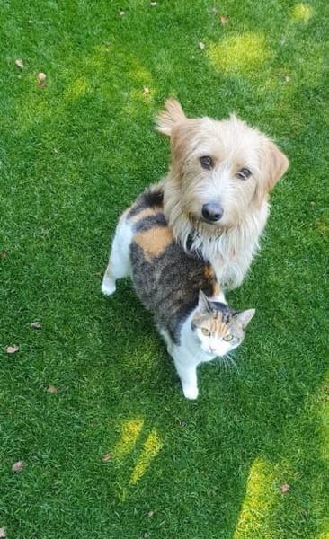 Kira wartet auf dein Besuch!