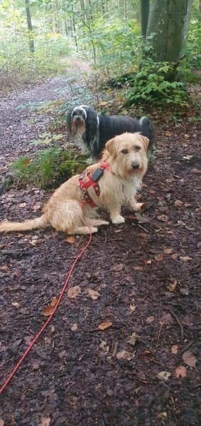 Kira wartet auf dein Besuch!