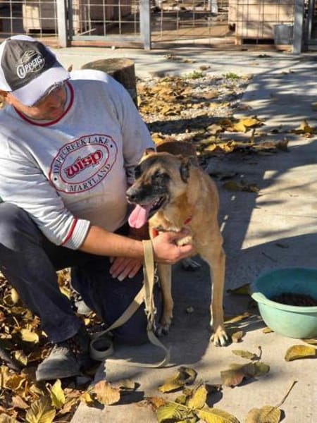 Herz in Not - SOS - RUBY sucht ♥ 🆘