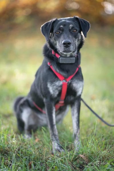 Sonia - ein Sonnenschein