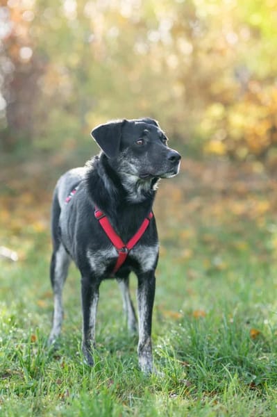 Sonia - ein Sonnenschein