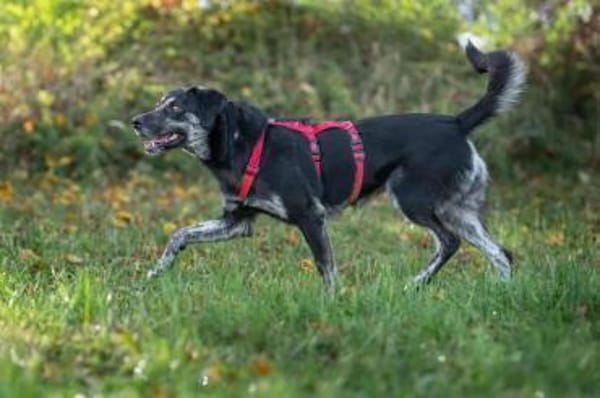 Sonia - ein Sonnenschein